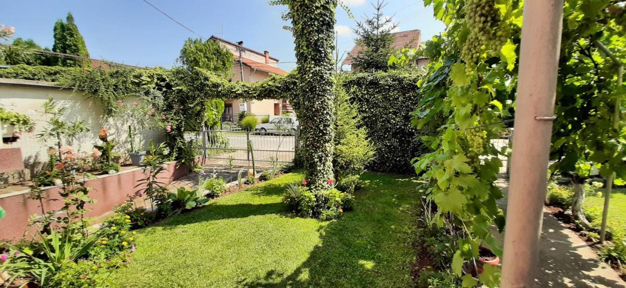 Exclusive Apartman Paraćin Kültér fotó